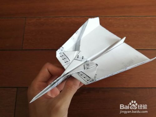 [纸飞机1.0]纸飞机102肉