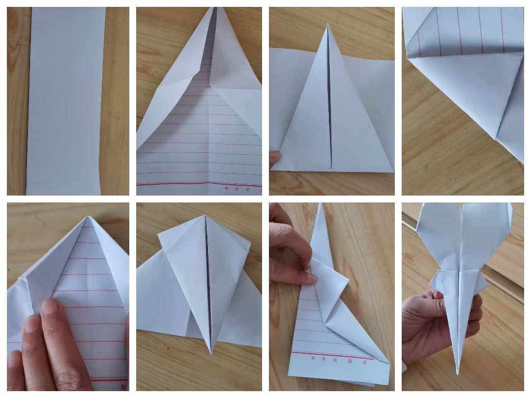 纸飞机如何找群-纸飞机怎么搜索群聊