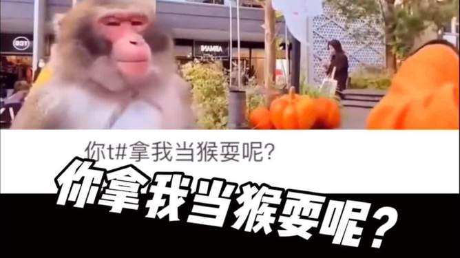 电报猴原视频无消音可收藏的简单介绍