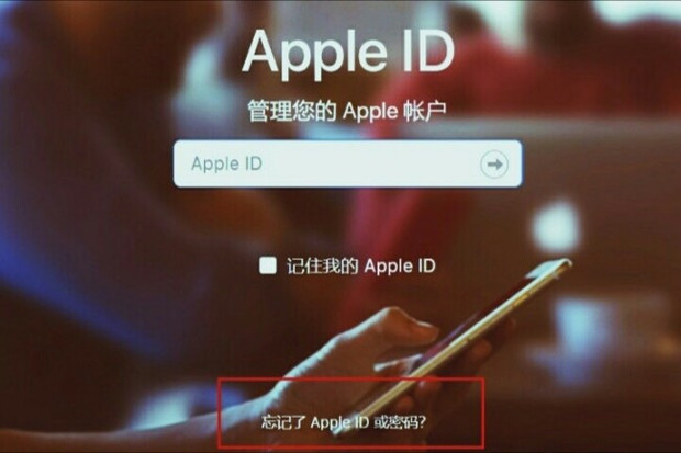外国id苹果账号、外国id苹果账号共享