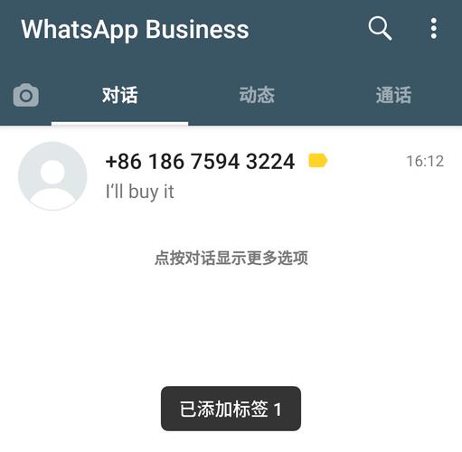 whatsapp苹果下载安装流程注册、whatsapp apk for iphone